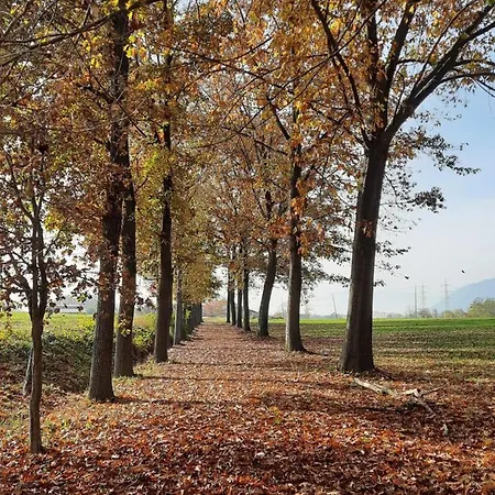 Panzió Cascina Cortese 3*