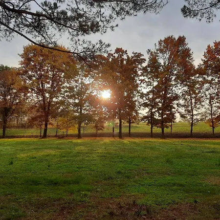 Cascina Cortese Bed & Breakfast Druento