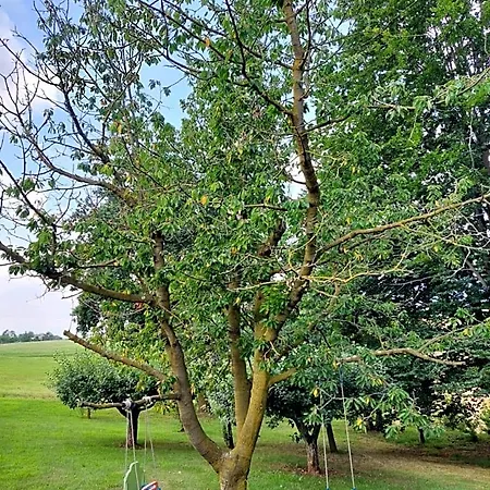 Cascina Cortese 3*