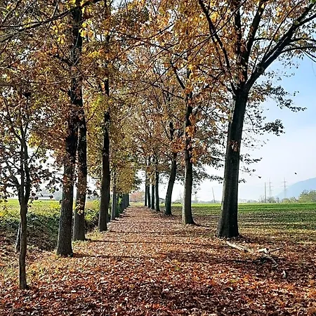 Oda ve Kahvaltı Cascina Cortese