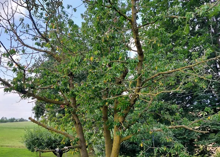 Bed & Breakfast Cascina Cortese Druento